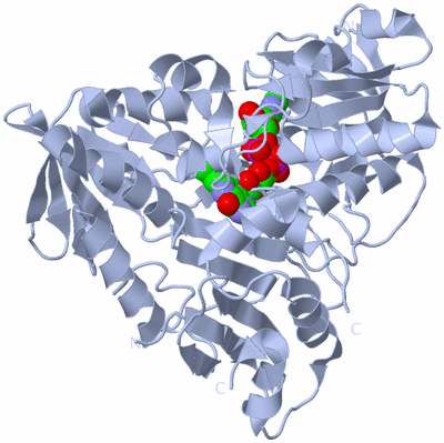 Image Biological Unit 1