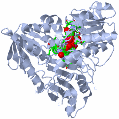 Image Biol. Unit 1 - sites