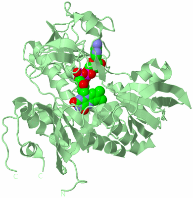 Image Biological Unit 2