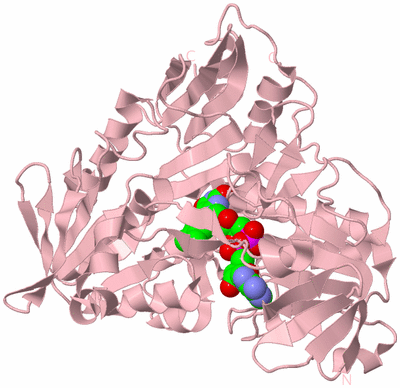 Image Biological Unit 3