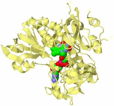 Image Biological Unit 4