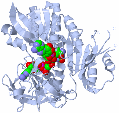 Image Biological Unit 2