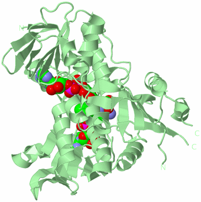 Image Biological Unit 3