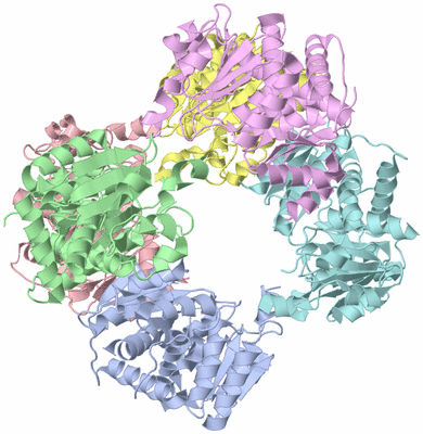 Image Asym./Biol. Unit