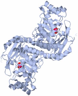 Image Biological Unit 1