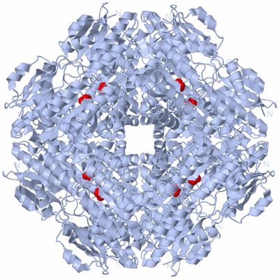 Image Biological Unit 2