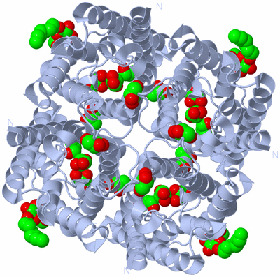 Image Biological Unit 1