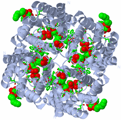 Image Biol. Unit 1 - sites