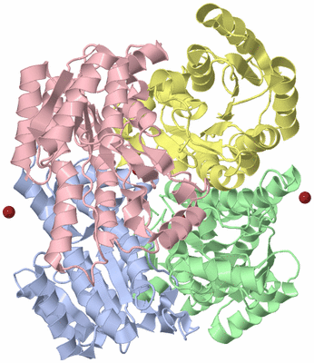 Image Asym./Biol. Unit