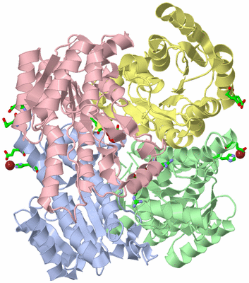 Image Asym./Biol. Unit - sites