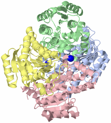 Image Asym./Biol. Unit