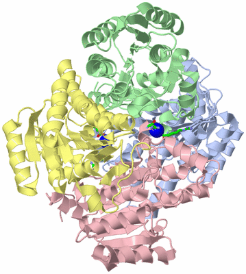 Image Asym./Biol. Unit - sites