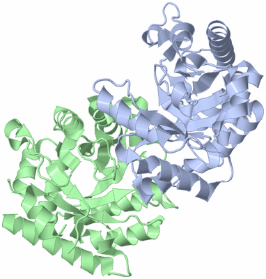 Image Asym./Biol. Unit