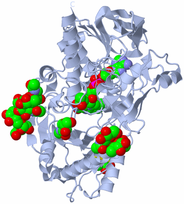 Image Biological Unit 1