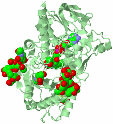 Image Biological Unit 2