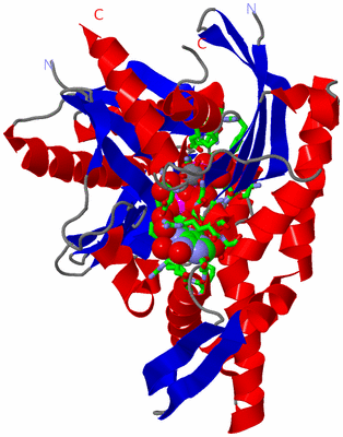 Image Asym./Biol. Unit - sites