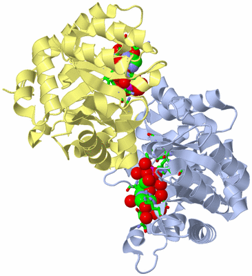 Image Biol. Unit 1 - sites