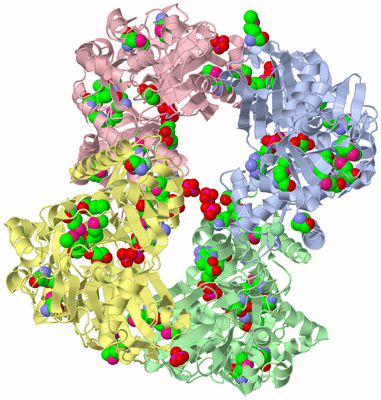 Image Asym./Biol. Unit