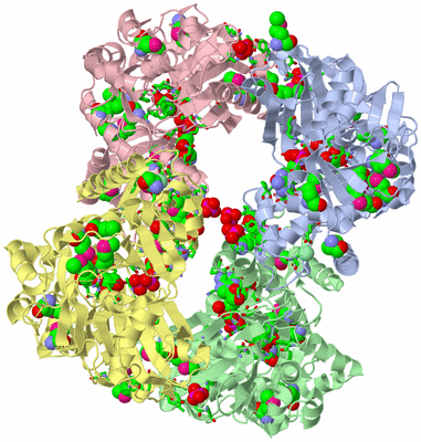 Image Asym./Biol. Unit - sites