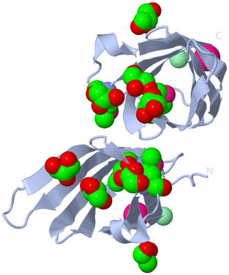 Image Biological Unit 1