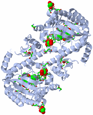 Image Biol. Unit 1 - sites