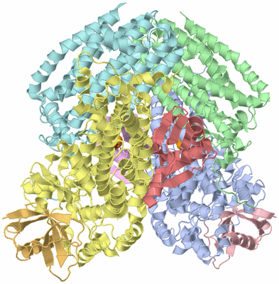 Image Biological Unit 1