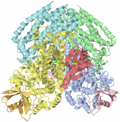 Image Biol. Unit 1 - sites