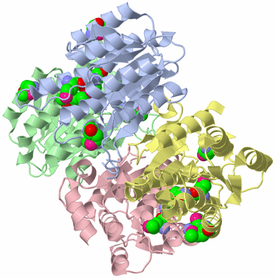 Image Asym./Biol. Unit