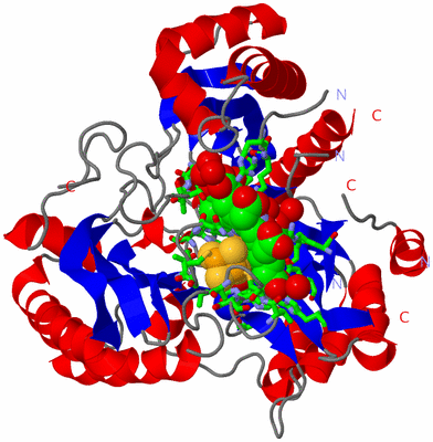 Image Asym./Biol. Unit - sites