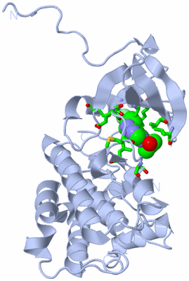 Image Biol. Unit 1 - sites