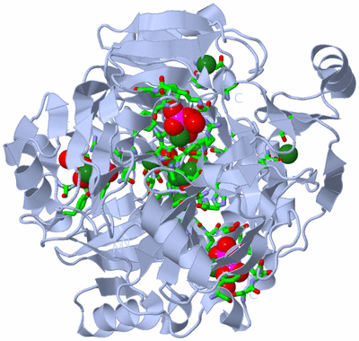 Image Biol. Unit 1 - sites