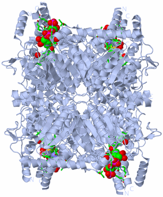 Image Biol. Unit 1 - sites