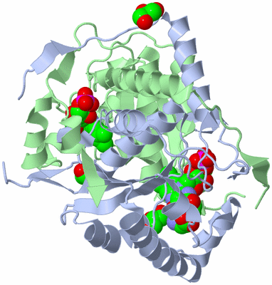 Image Asym./Biol. Unit