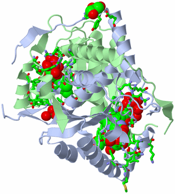 Image Asym./Biol. Unit - sites