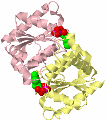 Image Biological Unit 2