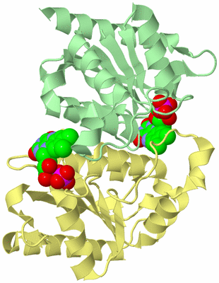 Image Biological Unit 2