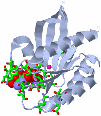 Image Biol. Unit 1 - sites