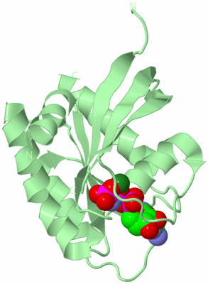 Image Biological Unit 2