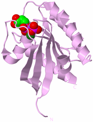 Image Biological Unit 5