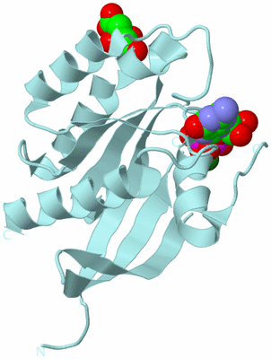 Image Biological Unit 6