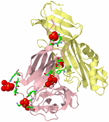 Image Biol. Unit 1 - sites