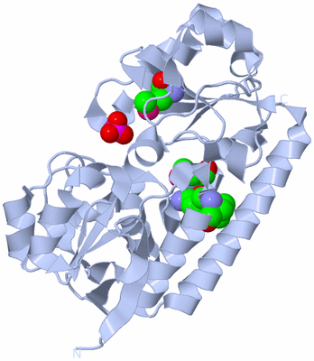 Image Biological Unit 1