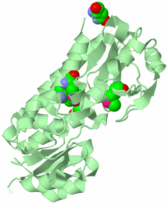 Image Biological Unit 2