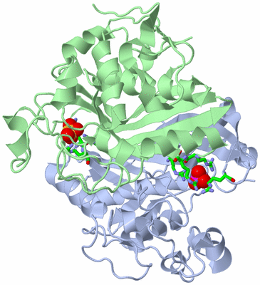 Image Biol. Unit 1 - sites