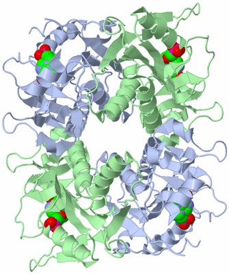 Image Biological Unit 1