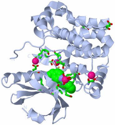 Image Biol. Unit 1 - sites