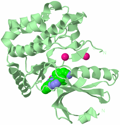 Image Biological Unit 2