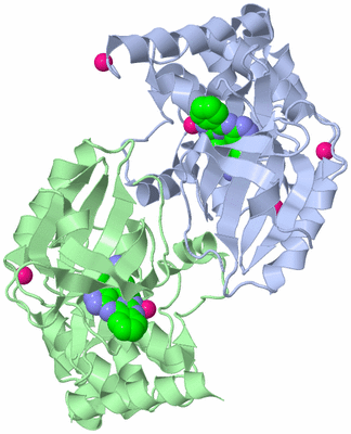 Image Biological Unit 3