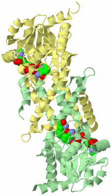 Image Biological Unit 1