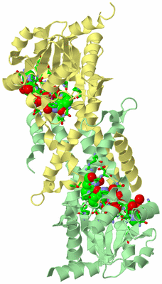 Image Biol. Unit 1 - sites